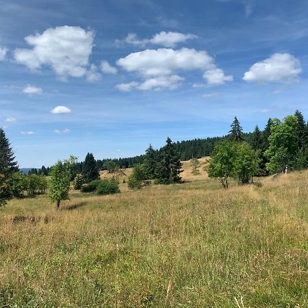 Ubytovani U Mateje Horní Blatná Exterior foto