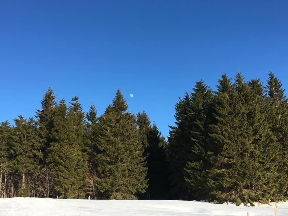 Ubytovani U Mateje Horní Blatná Exterior foto