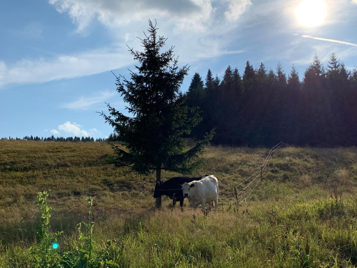 Ubytovani U Mateje Horní Blatná Exterior foto